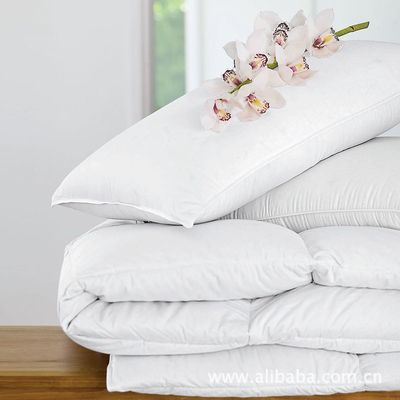 【歌登飛 白色羽絨枕芯 保暖性強,透氣性好.】價格,廠家,圖片,枕頭、枕芯、保健枕,深圳市三鴻羽絨制品(銷售部)-